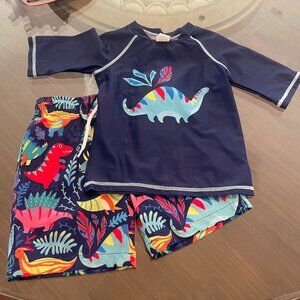 Toddler Boy (2T) Swim Trunks